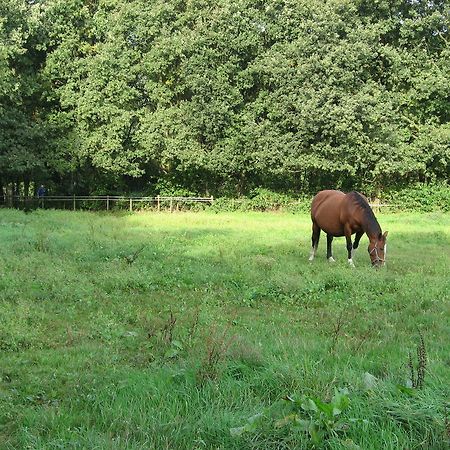 Rustpunt Groote Heide Bed & Breakfast Heeze Exterior photo